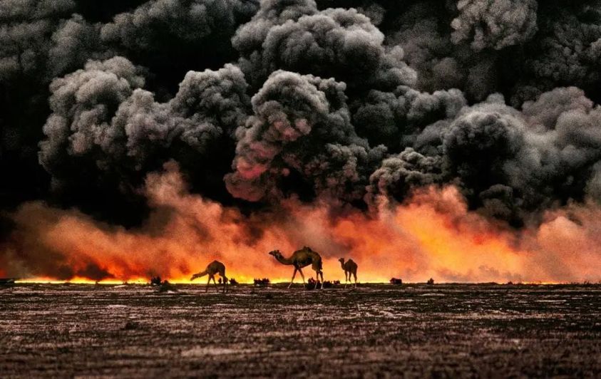 #Golfo con alcune delle più celebri immagini icone, come i #cammelli che ##attraversano i pozzi di petrolio in fiamme e gli uccelli #migratori interamente cosparsi di petrolio. Spettacolari fotografie realizzate da Steve #McCurry.