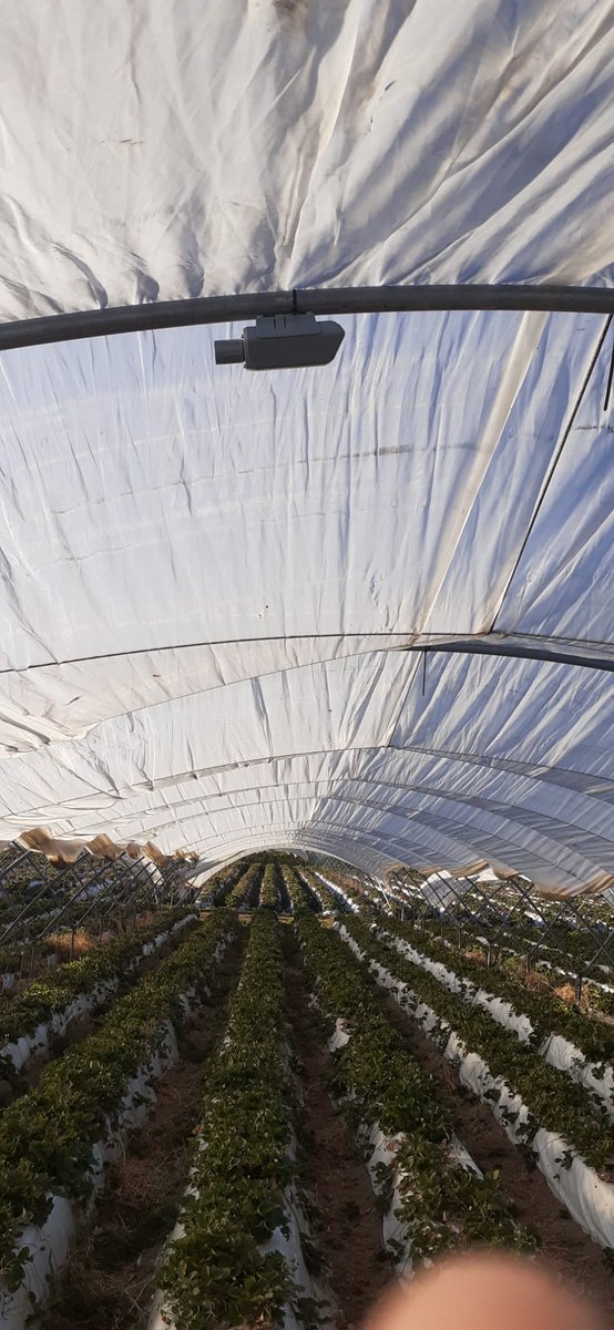 En Niharra (Ávila) ya están haciendo uso de nuestros sensores de <a href="/seeedstudio/">Seeed Studio</a> para optimizar el uso de recursos.

¡Pasa a conocerlos por nuestro stand en <a href="/StartupOle/">Startup Olé</a>!