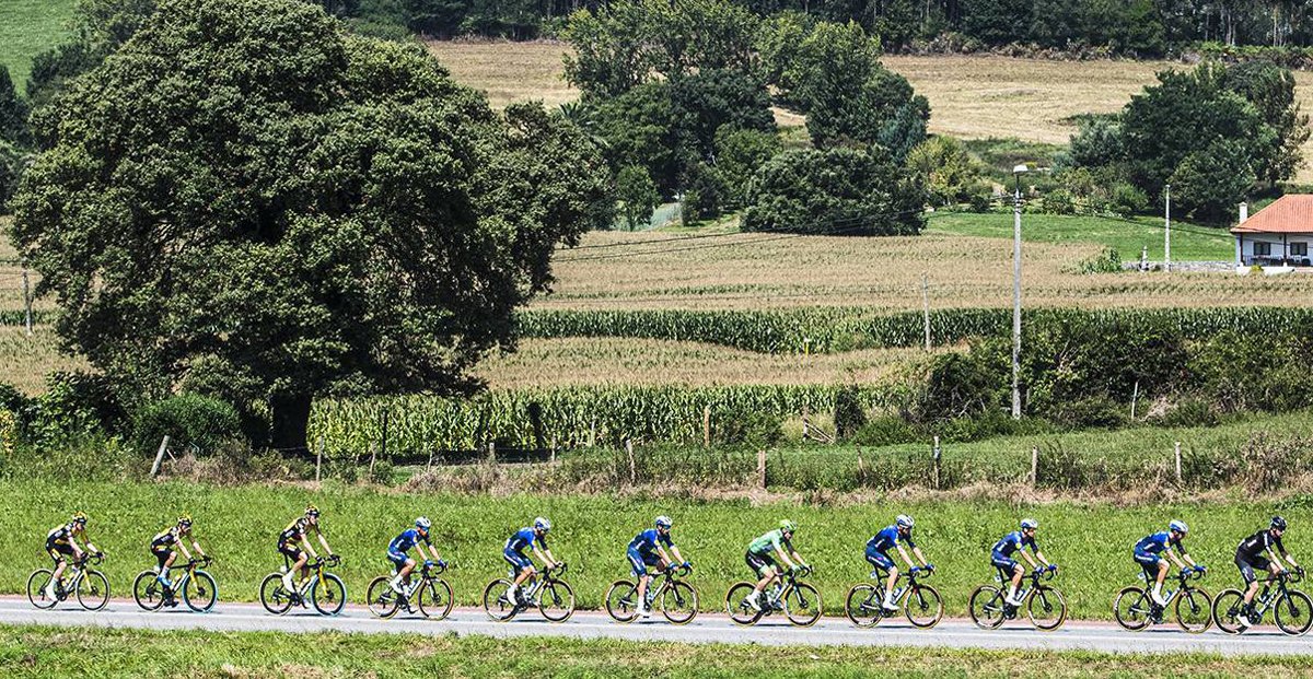 valleinferior's tweet photo. 🚴‍♂️ Nuestra Zona Regable se convierte mañana en protagonista en @lavuelta Ciclista a España: la 16ª etapa de la ruta pasará por buena parte de nuestra zona y los términos de varios municipios que conforman nuestra Comunidad #Regantes. https://t.co/GFB84XBp7C #LaVuelta22 #Sevilla https://t.co/KvI2K1uTPd