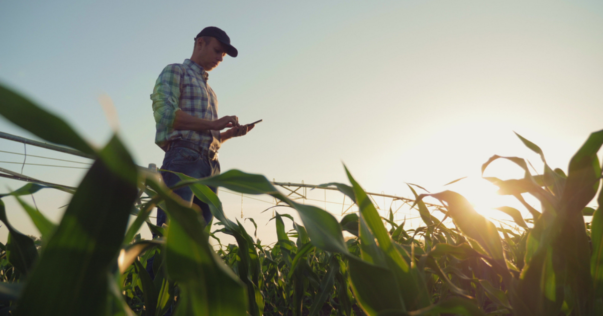 This Labor Day, we’d like to take an opportunity to show our thanks and appreciation for the hard work and dedication of the American farmers. We salute you and your commitment to providing food for families everywhere. Thank you, farmers!