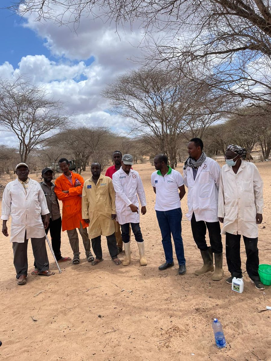ABLI_Garissa's tweet photo. ABLI-G Drought response activity supporting the people affected by the ongoing drought in Garisssa County, Animal vaccination and deworming ongoing in parts of Dadaab and Fafi constituencies to support the pastoralists https://t.co/WZBuJrax8P
