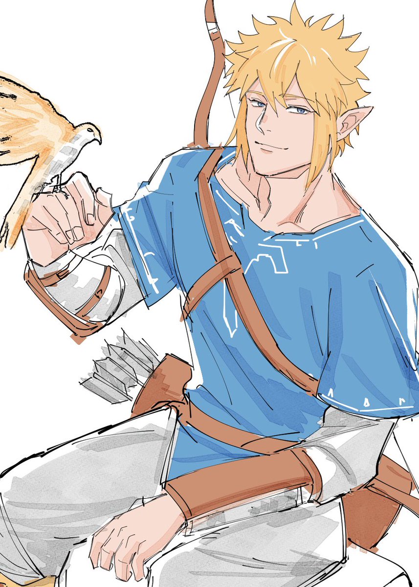 link 1boy male focus pointy ears blonde hair bird blue eyes solo  illustration images