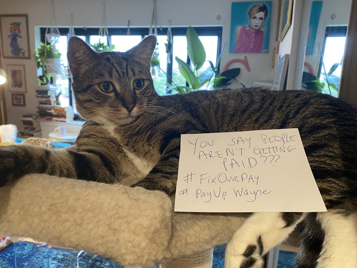 LecturersHU's tweet photo. Marcel has some questions....
#HUPets4Pay #FixOurPay #PayOurProfs #UnionStrong #HowardForward #InTruthAndService #PayUpWayne https://t.co/oM1wiDyx2Q