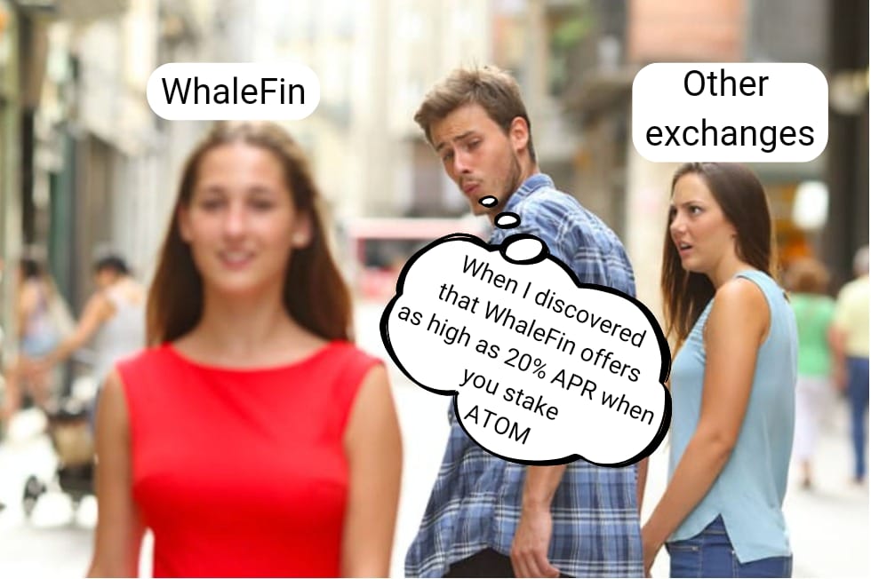 WhaleFinAF's tweet photo. Are you ready to win while showing your humor with WhaleFin? 🥳 Create a Meme about WhaleFin ✨

✅ Follow our page
✅ RT this post with the tag #WhaleMeme and share the post by adding your picture.
✅ Sign up for WhaleFin and complete KYC

🏆💰 $50 https://t.co/R0f7EVaAnC