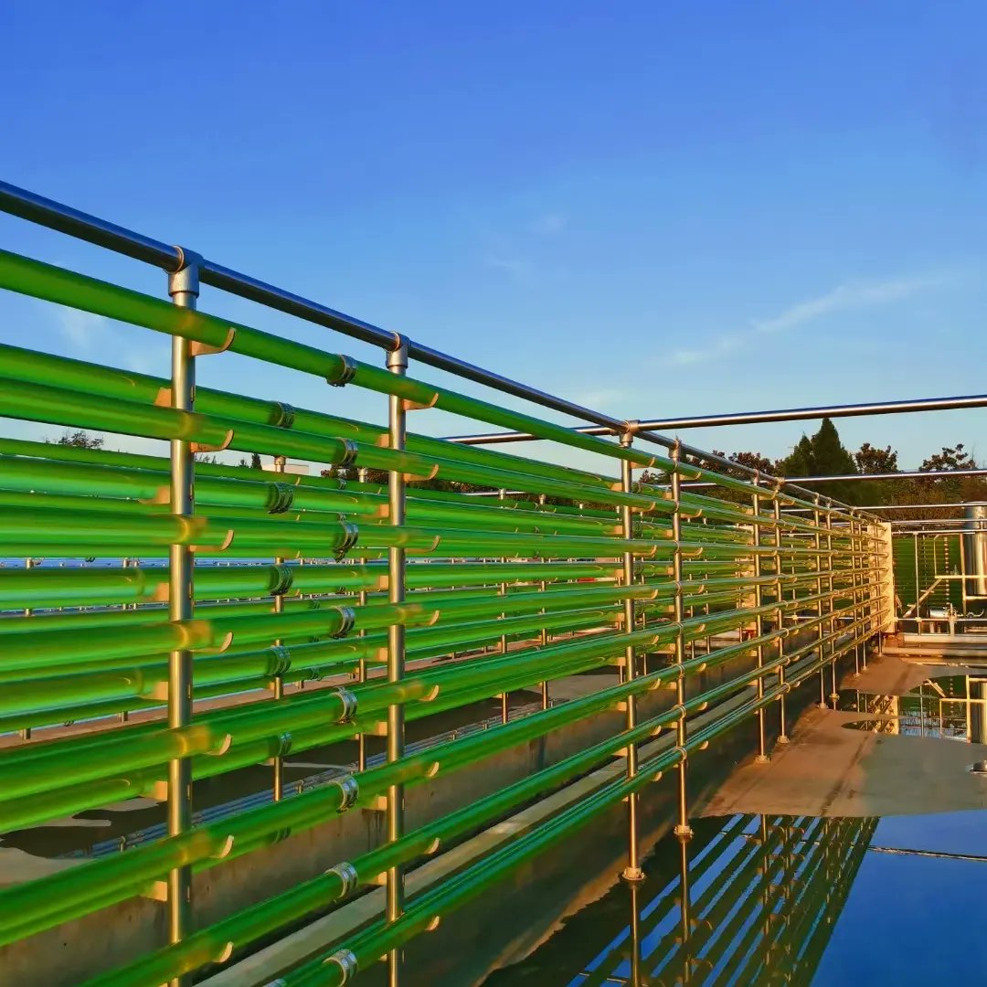 niles5's tweet photo. #photobioreactor for #Haematococcus #pluvialis in Hubei, China https://t.co/pUBKS9Jqs1