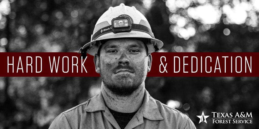 TXForestService's tweet photo. As we celebrate Labor Day, we thank and honor the men and women who work tirelessly to protect our state and conserve our natural resources. #LaboryDay https://t.co/0RLez509tg