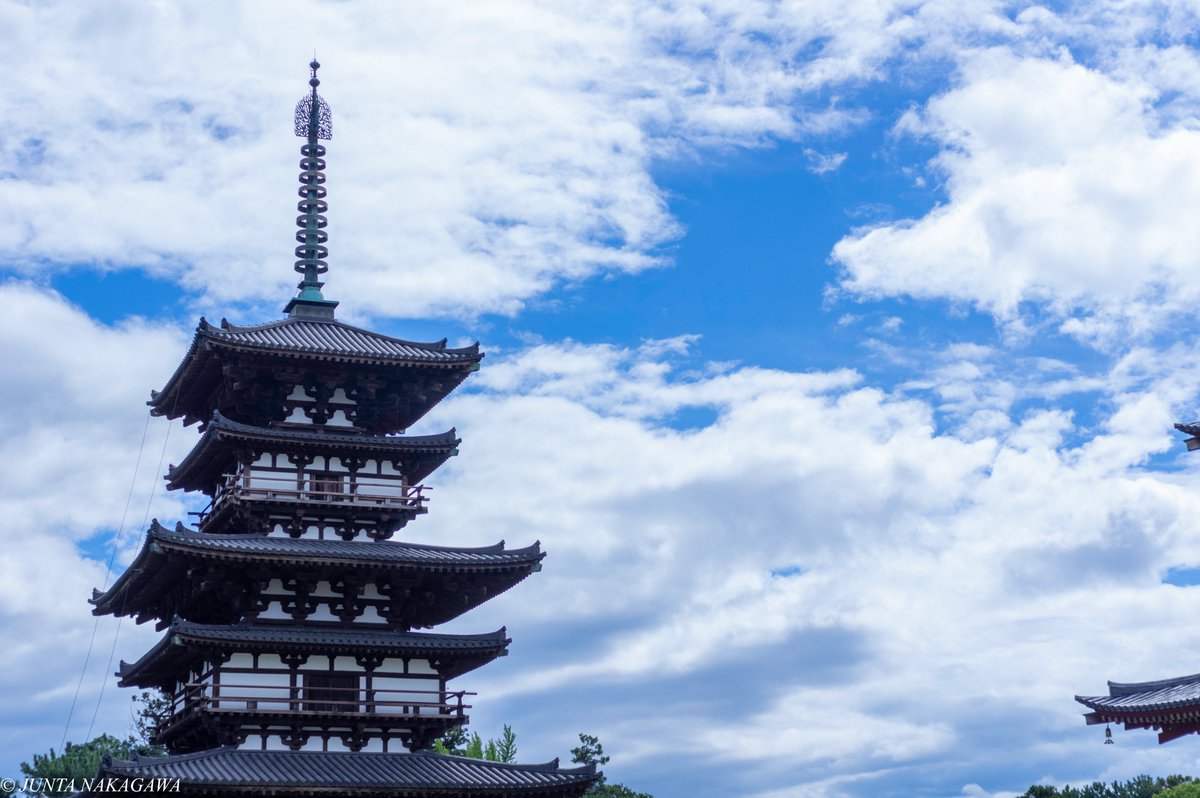 やっぱ、花の写真を撮るのが好きだわ😄
広角で風景を撮るのも好きだ😆
ワイドはHD 20-40mmで撮ったけど、15mmも欲しいなと改めて思った。
でも花は35mm macroで撮るのが好き👍

#pentaxk3ii
#PENTAX
#pentax_da35macrolimited
#pentax_da2040
#photograph
#photography
#flower
#flowerphotography