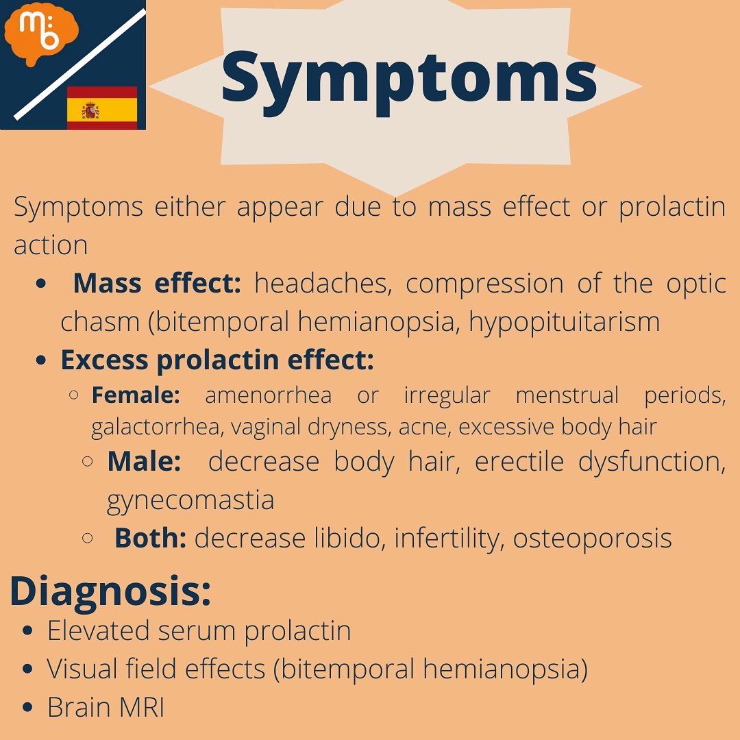 Mission:Brain Complutense tweet media
