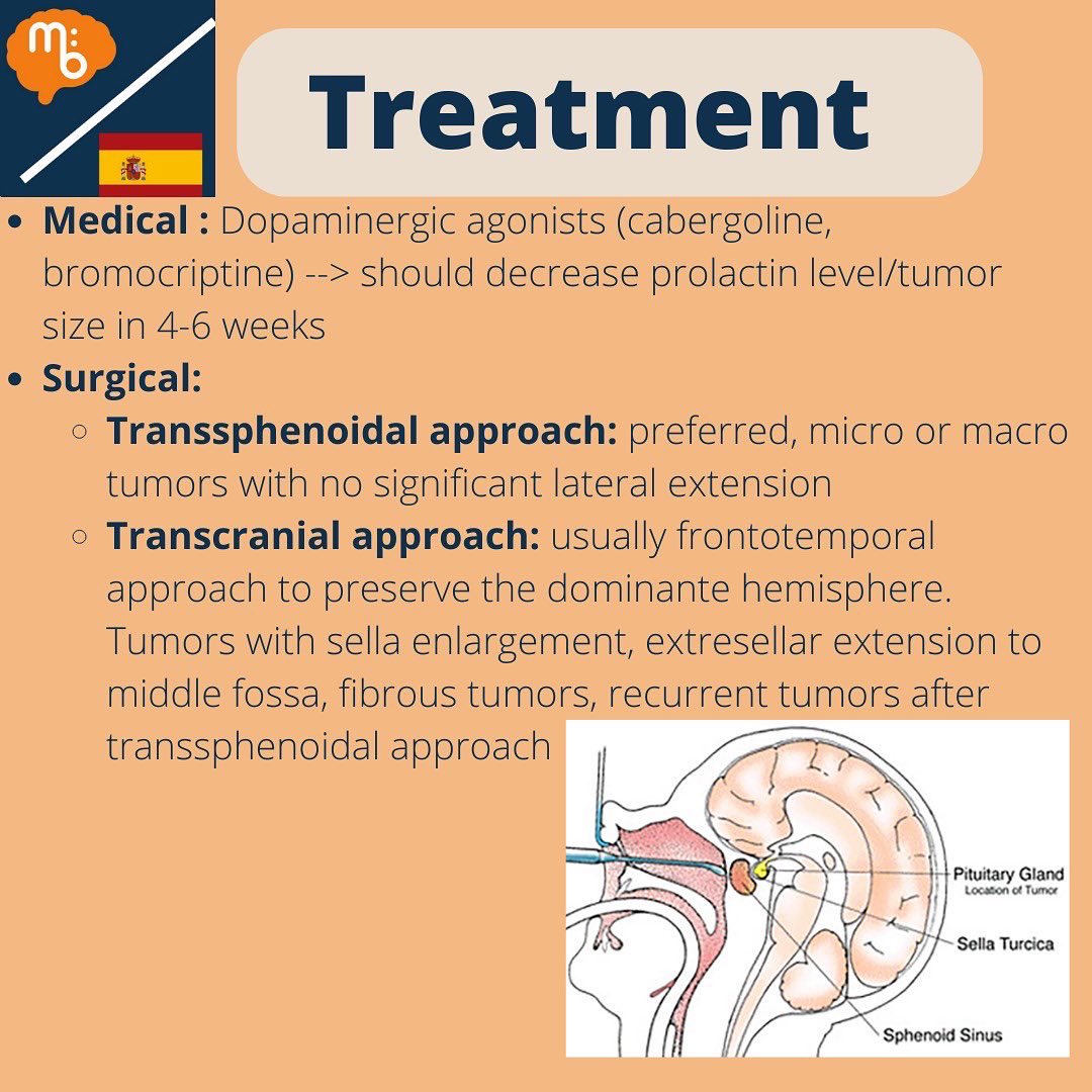 Mission:Brain Complutense tweet media