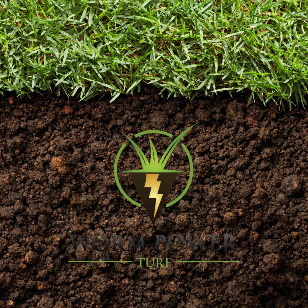 AquaAidEU's tweet photo. Although we have entered September, it is still quite warm and dry throughout Europe. Support your plants and their roots by applying Worm Power. https://t.co/7Movp2Ncec
#wormpower #rootpower #basedonresearch #turfgrass #passionforturf #aquaaid https://t.co/qahNfiMqfU