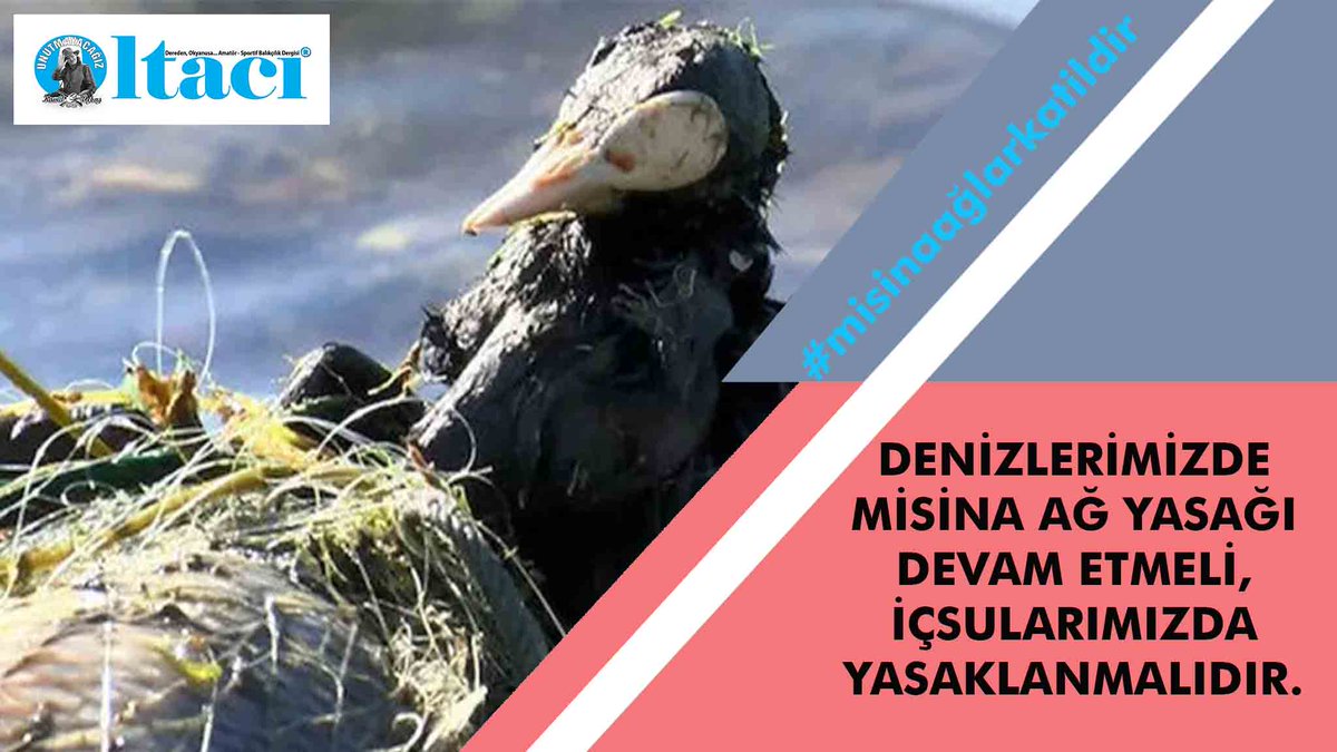 #misinaağlarkatildir