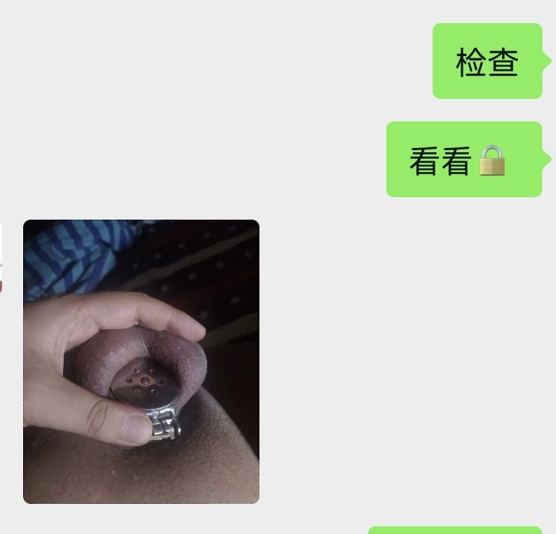 whipcanine's tweet photo. 锁了两个多月，已经习惯。这是我碰到的最能锁的m，以前的m锁不了两天就哭爹喊娘想跑路😡😡
有比他更厉害的吗？
#贞操锁挑战 #贞操锁奴 #贞操锁 #贞操带 #贞操控制 #男M #女s #bdsm #ChastityBoy #调教贱狗 #调教开发 https://t.co/DN6qbwPuib