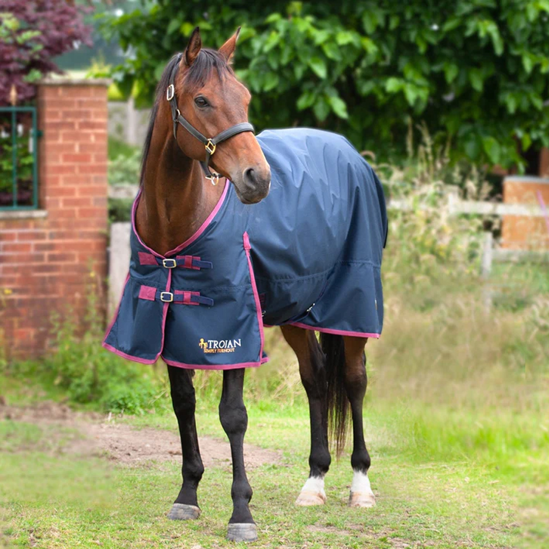 The Gallop Trojan Lightweight 50g Standard Neck Turnout Rug is the perfect horse rug for autumn. This 50g turnout rug helps provide a buffer between the inner and the outer lining of the rug to help with condensation. Shop 👉 bit.ly/3wX6ZjL
#equus #equusengland