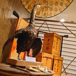 ツイートに含まれる画像