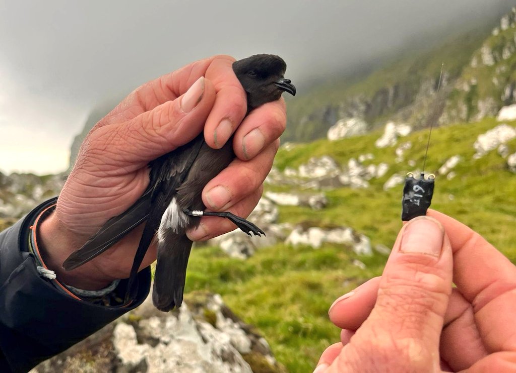 Ben Porter tweet media