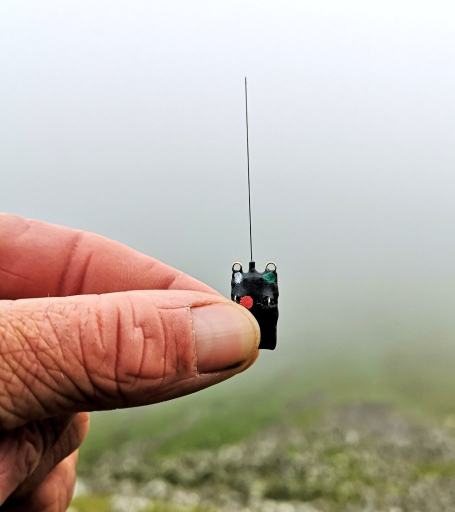 Ben Porter tweet media