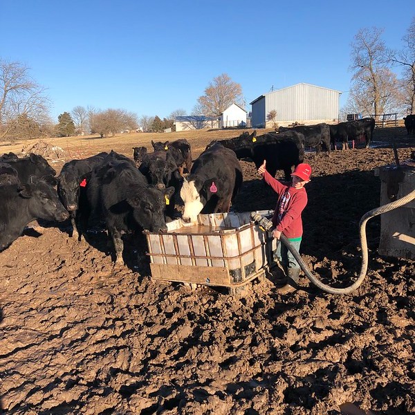 MoAgriculture's tweet photo. Farming is a labor of love. Today, we celebrate those who work day and night to feed, fuel and clothe the world.

Happy Labor Day!

#empowerMore https://t.co/a57z8dzhEq