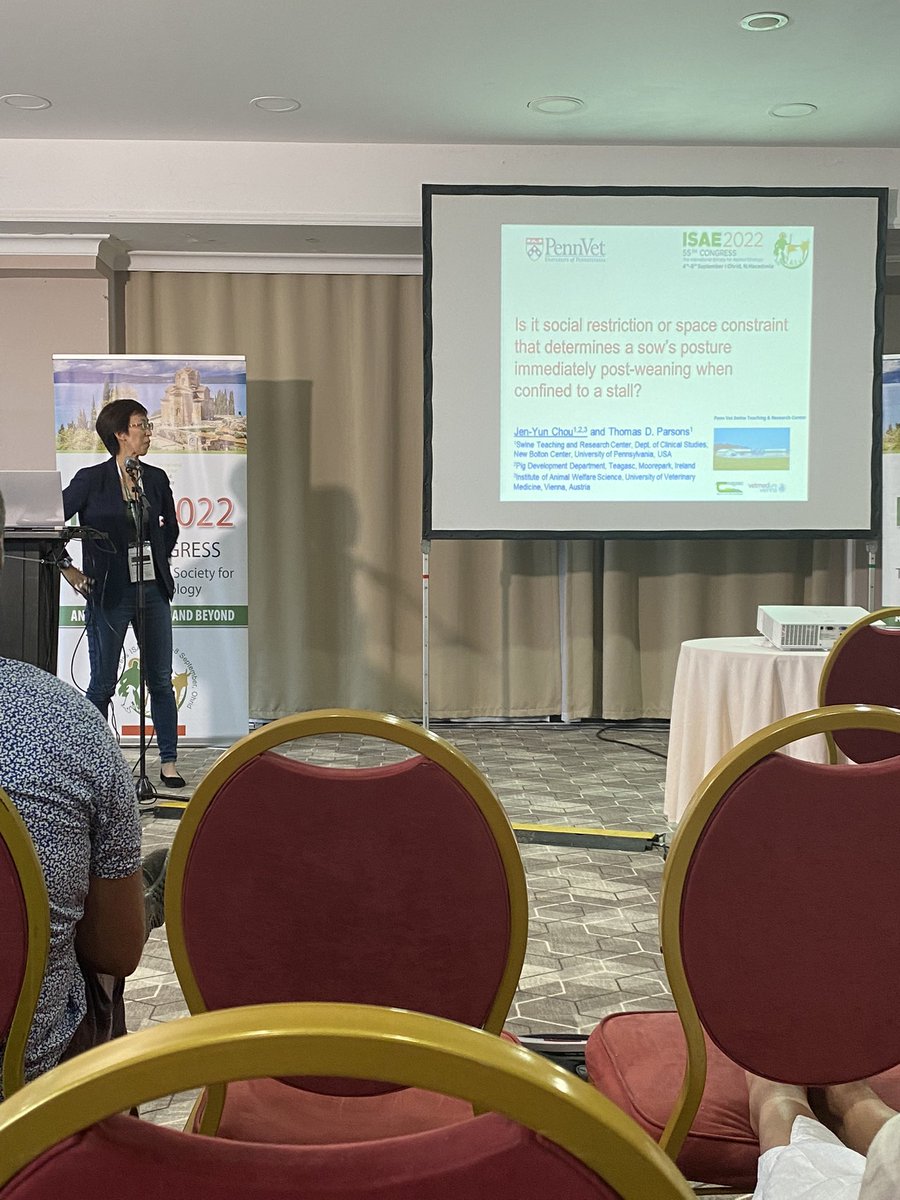 MariaRorvang's tweet photo. What is optimal sow welfare and housing in the post weaning period? @thepigobserver highlights indication of effect from space restriction and social deprivation on sow’s posture.
#isae2022 #pigwelfare #sowbehaviour https://t.co/rZSMKbWoT8