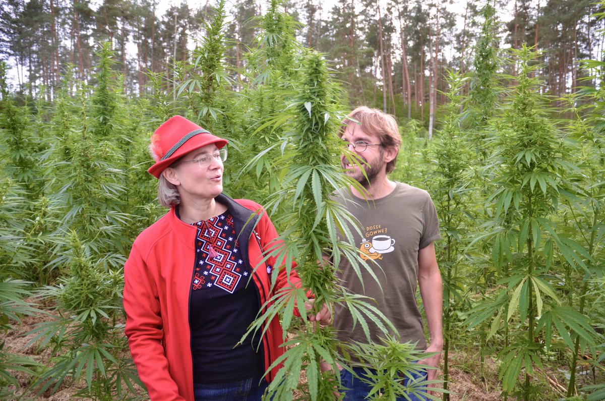 WSchaekel's tweet photo. So oder ähnlich könnte es aussehen.
Jodeln im Hanffeld in Zempow. Danke an Anke und Jan. Am 10. - 11. September 2022.
https://t.co/irrjD9q1nC
#jodeln #hanffeld https://t.co/cI7rz0m7K1