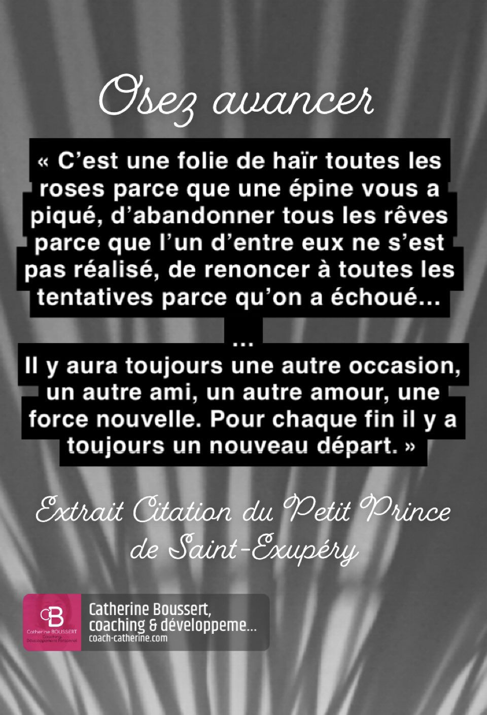 Coach Catherine Catherinecdp Twitter