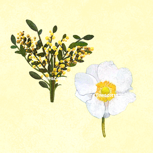 キッズワンダーランド 絵本作家さん募集中 絵本で繋がる笑顔のネットワーク Ehonkidswonder1 Twitter キッズワンダーランド 絵本作家さん募集中 絵本で繋がる笑顔のネットワーク Ehonkidswonder1 Twitter