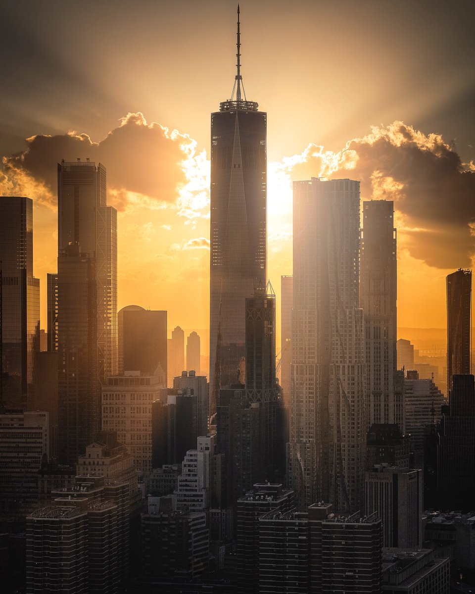 Paul Seibert tweet media