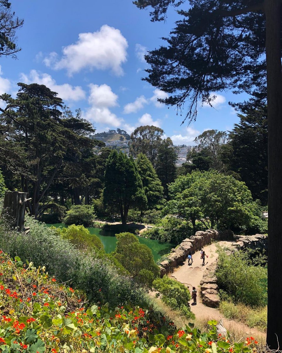 molzipky20's tweet image. Today's weather is very good. It's a very suitable day to go out for a stroll.