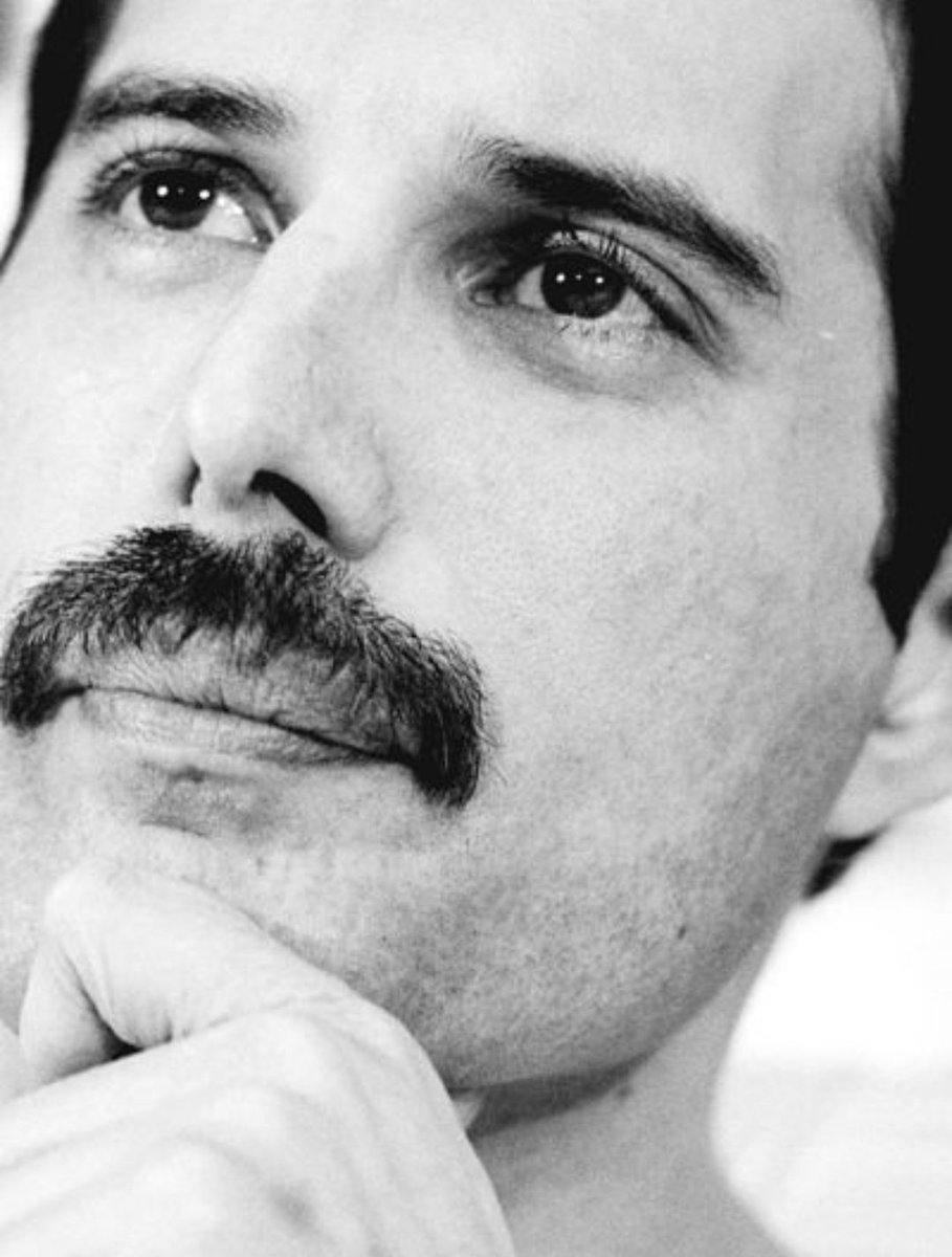JessLostrappo's tweet photo. Happy Birthday, legend. 💛 #FreddieMercury #HappyBirthdayFreddieMercury #FreddieDay https://t.co/lWdRS6wK8E