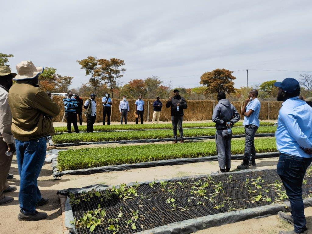 TobaccoZe's tweet photo. Our agronomy team &amp; farmers, TRB and suppliers of tobacco chemicals converged at Denenga Farm in Beatrice to exchange notes on seedbed management and transplanting. Growers were urged to comply with planting legislation and use environmentally friendly chemicals @ChineseZimbabwe https://t.co/obsjAx7MEd