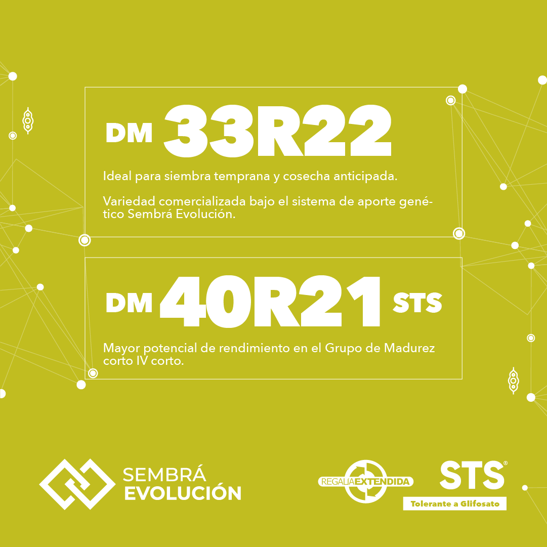 DONMARIOoficial's tweet photo. Detrás de nuestras variedades de soja, hay ciencia, germoplasma y tecnología de alta calidad 🌾
Conocé las variedades destacadas para esta nueva campaña https://t.co/MmLYFSMOIv
Elegí la opción que potencia tu lote.
#LaCienciaDetrásDelRinde #SojaDM https://t.co/IXu5DudGLb