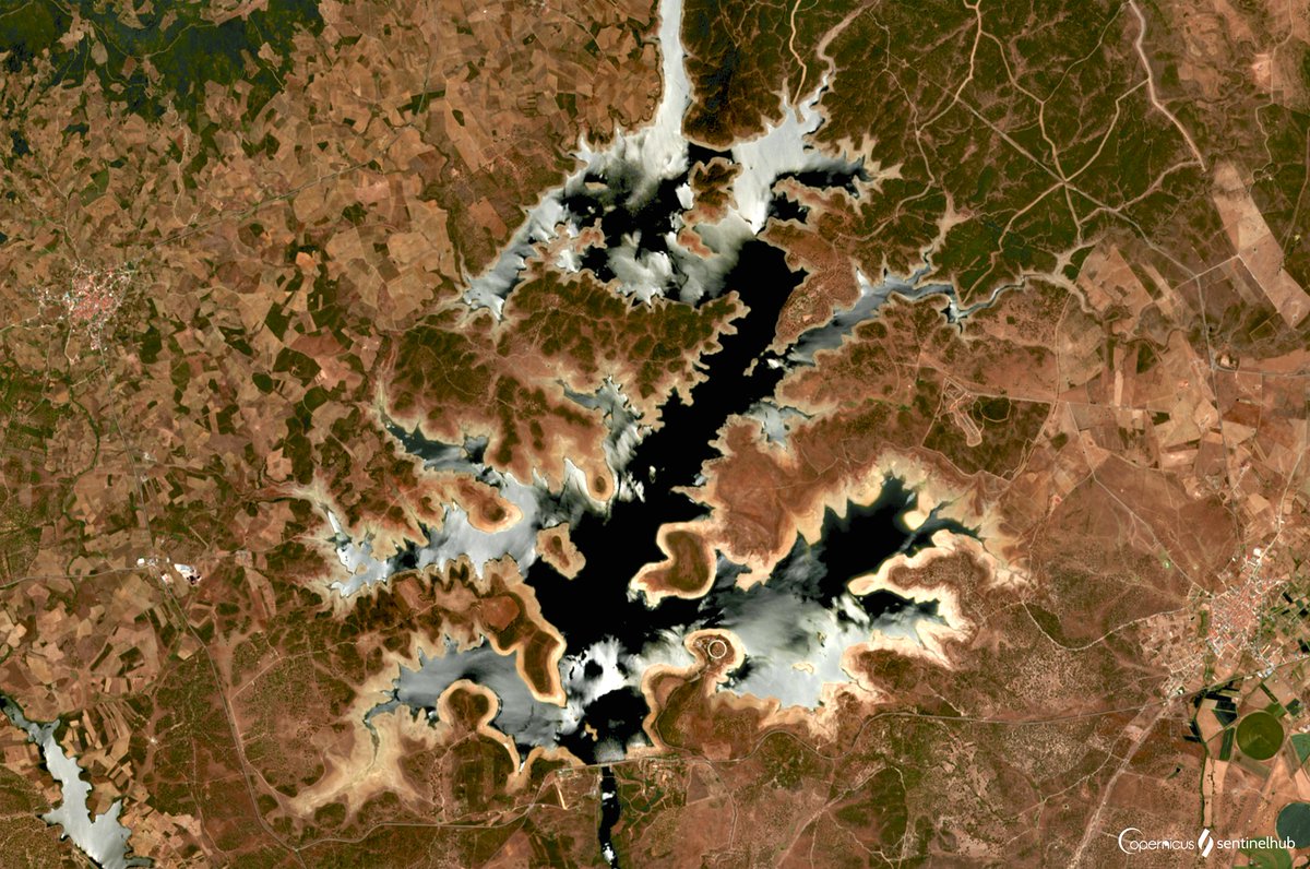 sentinel_hub's tweet photo. π Less than a week to go! βοΈ 11 Sept
Letβs tackle #ClimateChange together - Join our #CustomScript Contest and contribute to real-world π solutions with a script or written story!
Learn about π°οΈ #RemoteSensing, and win attractive prizes along the way. β‘οΈ https://t.co/wYK6xPTQnZ https://t.co/WXjm3giRrw