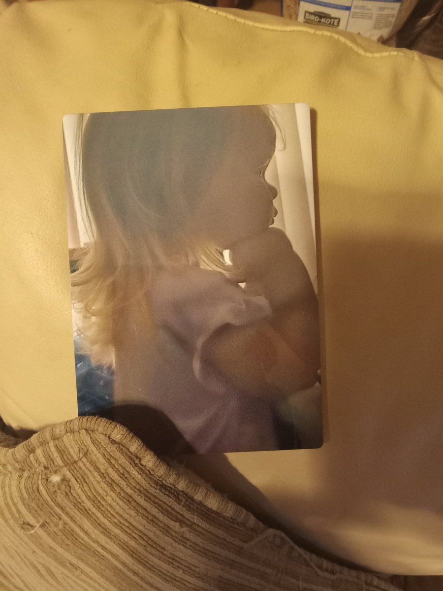 FAMSTRONG2021's tweet image. Another one of mammajos babies