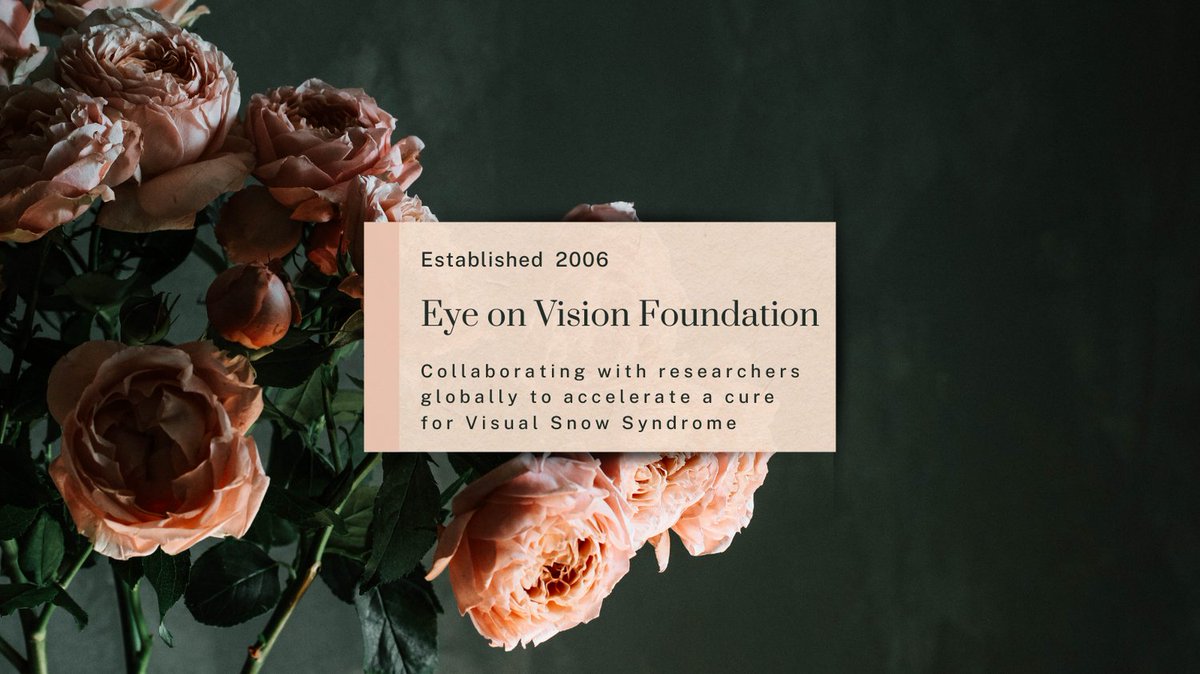 Eye On Vision Foundation tweet media