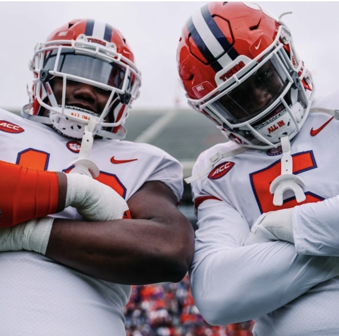 TangerineTiger tweet media