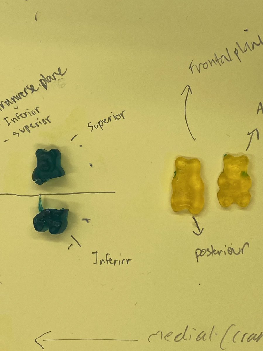 Cindy Adair tweet media