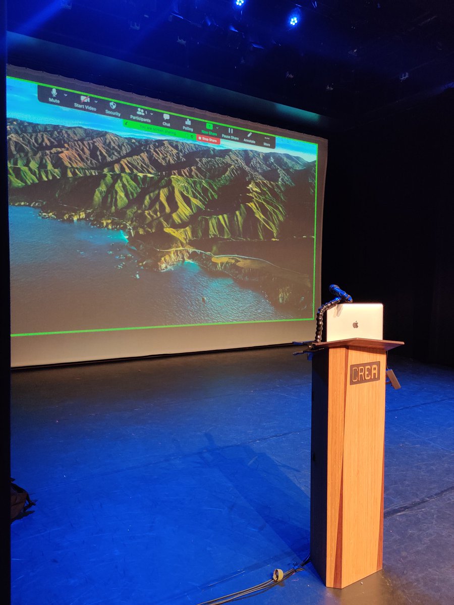 Sasha Cook tweet media