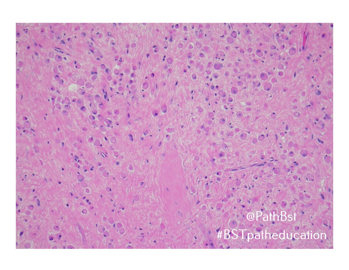 BST Path Education tweet media