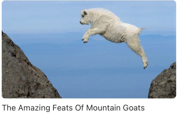 they’re called hooves, dummy🙄