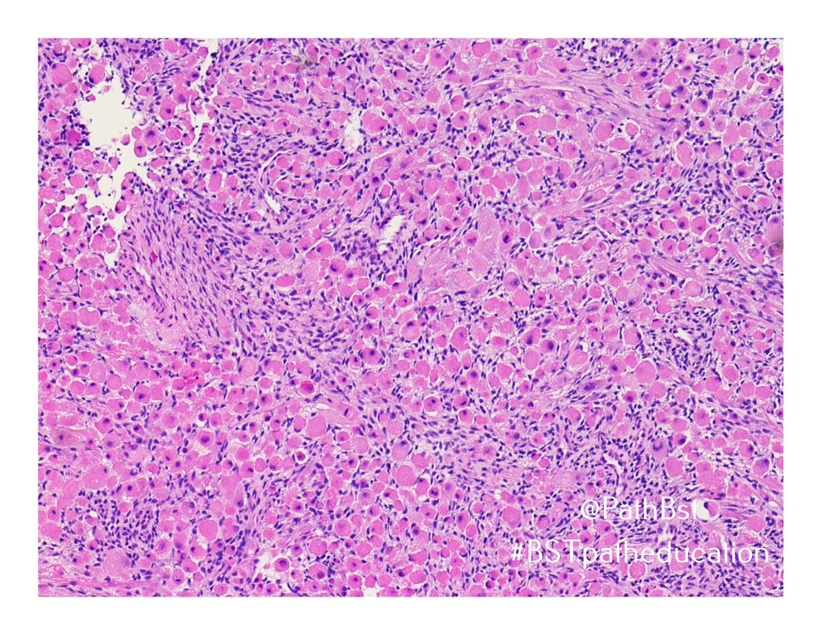 BST Path Education tweet media