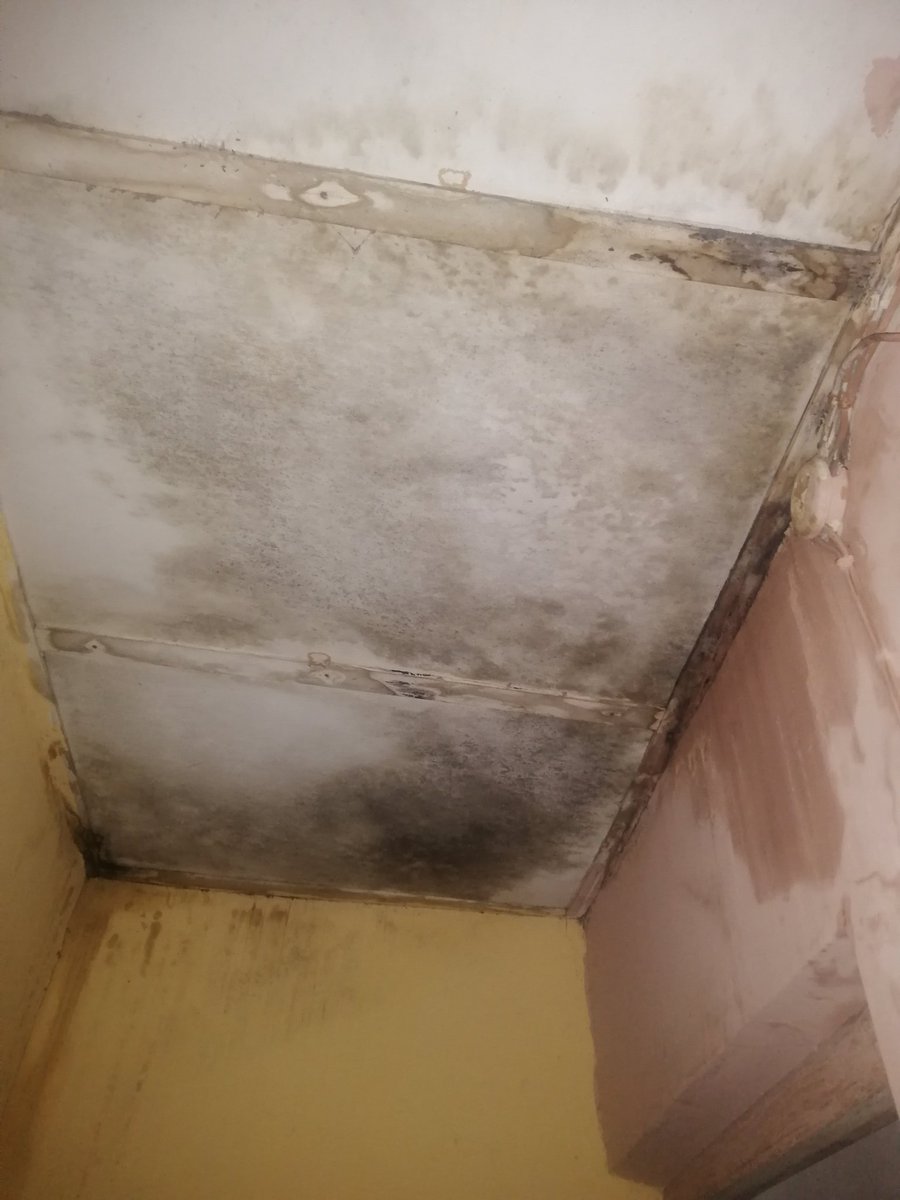 Ighomo's tweet photo. I've been falling sick often because of the dampness of the damp walls and the soaked ceiling leaking. God bless you for really helping out. https://t.co/kWHwbutLM7