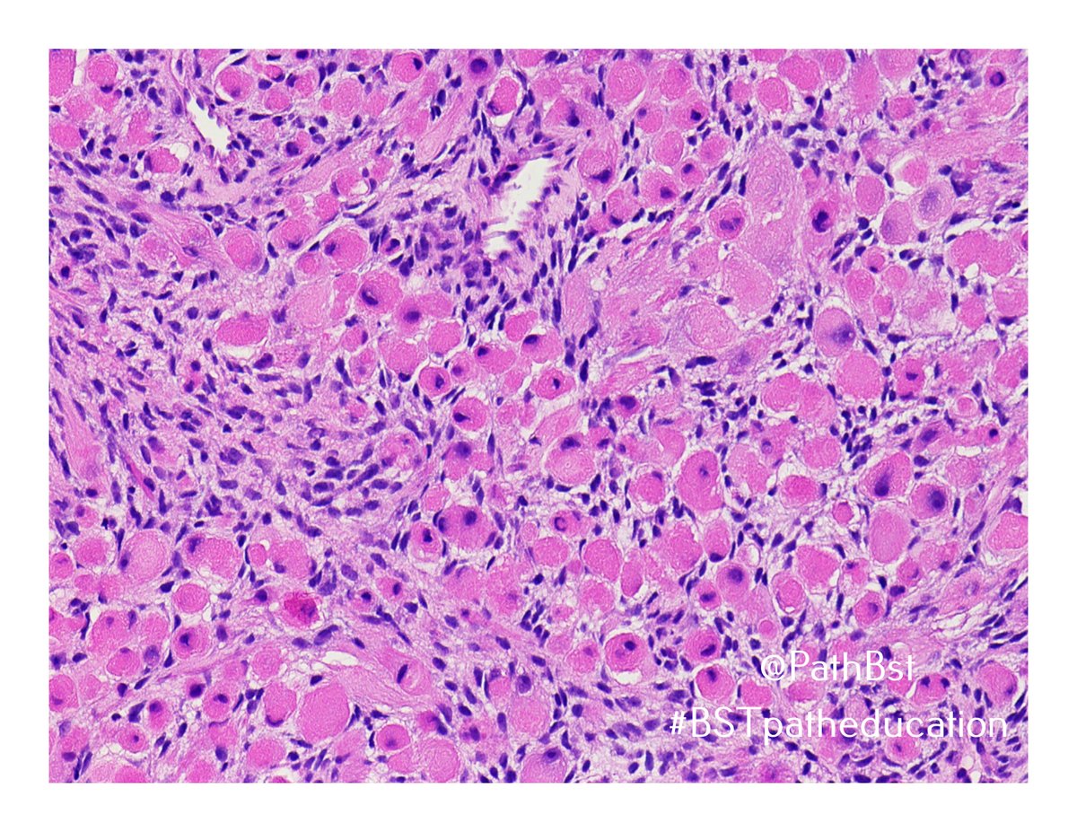 BST Path Education tweet media