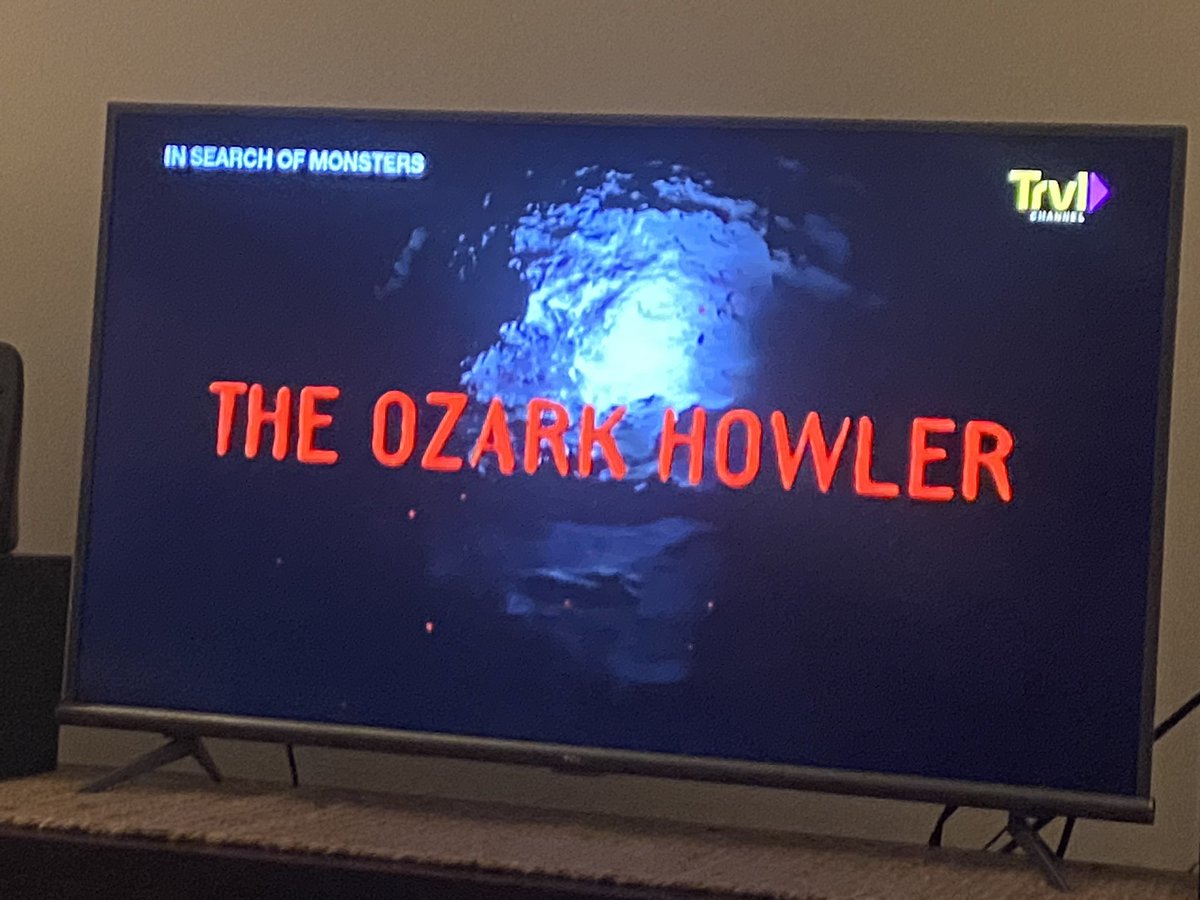 adam_bell12345's tweet photo. Could the #OzarkHowler be a new feline species, a surviving population of smilodon, or familiars conjured by witchcraft? 🐈‍⬛ #InSearchOfMonsters https://t.co/b7aq25mxon