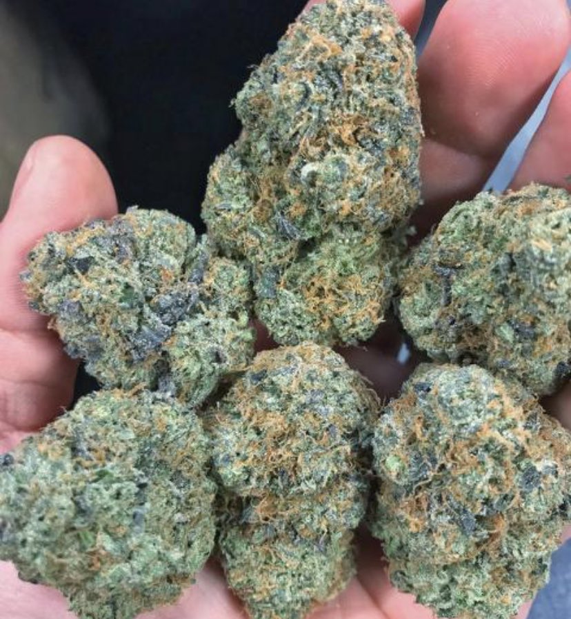 CaliSmoke88's tweet photo. 🌳 💨Hit me up #DMV‼️LABOR DAY’ Get to those BBQs LIT 🔥 Just like the grill! 📨DM me for deliveries 🚚 https://t.co/85LmXW3pzF