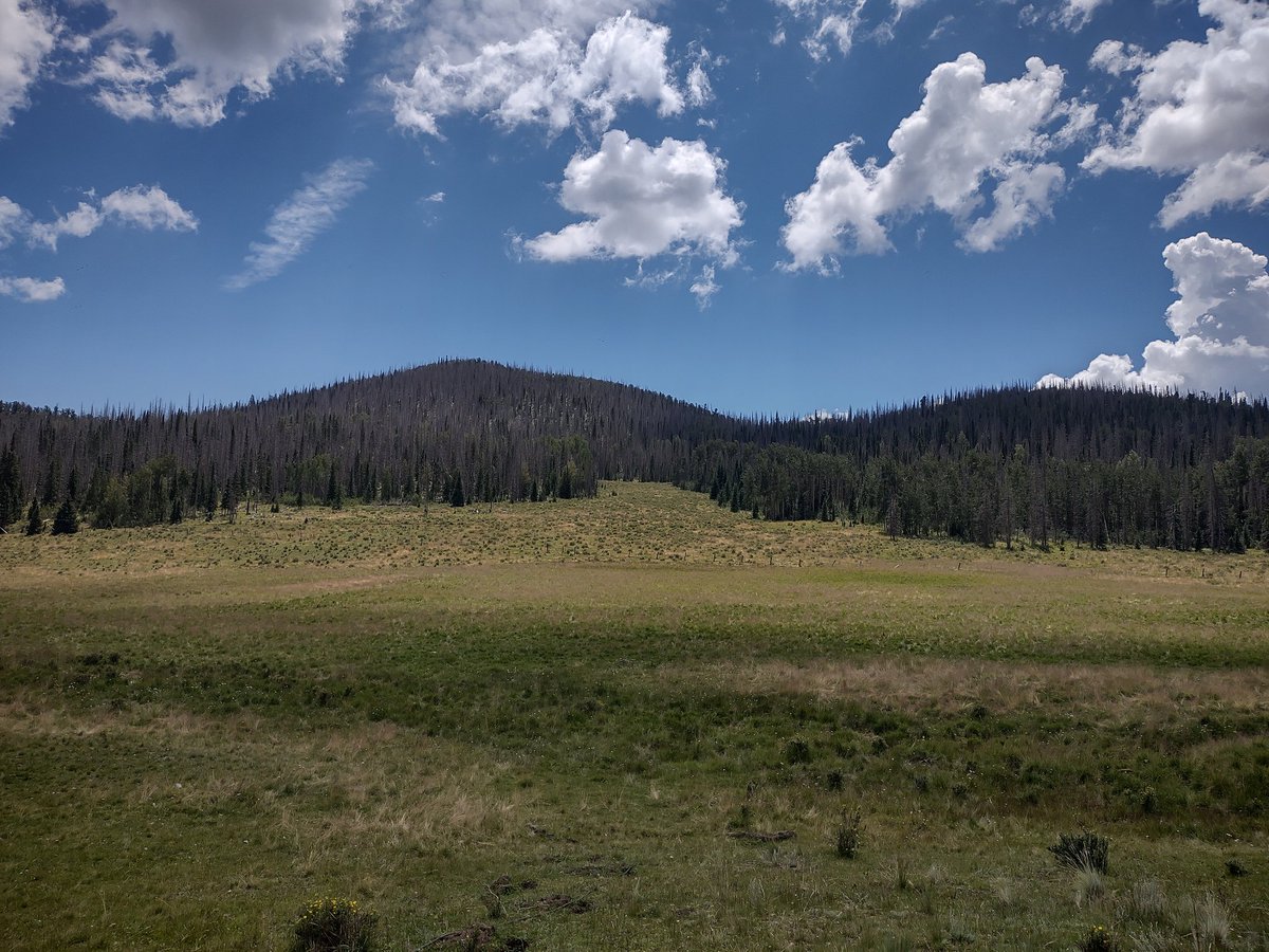 devinnunesgramp's tweet photo. @DevinsCat1 @DevinCow Fishing at a friend's. He has 160 acres in the Saguache mountain range in Colorado. https://t.co/Cc5UVpZYzS