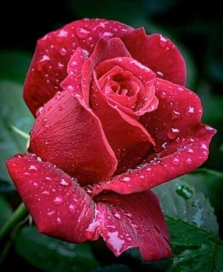 Valentina (@valenti66197491) on Twitter photo 