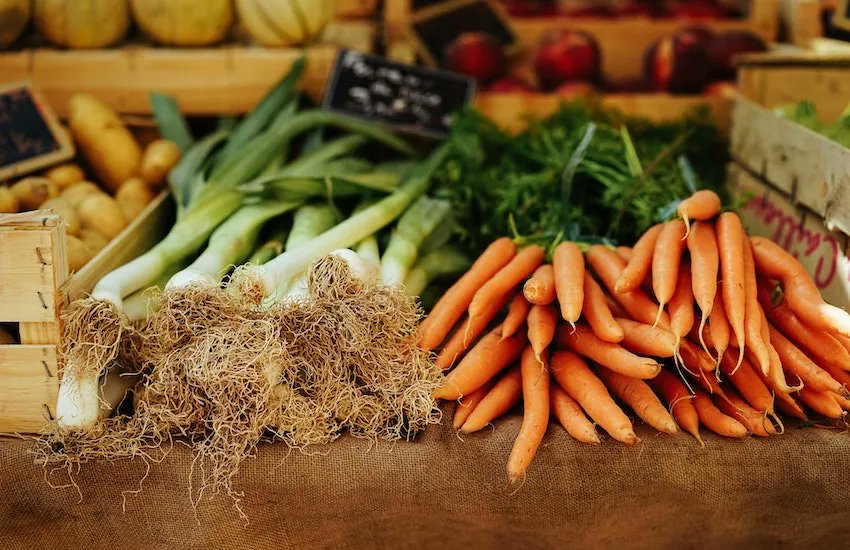 ruraljerseymag's tweet photo. Rural News: This September, we’re celebrating all things local – whether it’s sampling homegrown produce at one of Jersey’s artisan markets, learning about the Island’s agricultural history - https://t.co/K97DYdglVs https://t.co/4PVFIOCjGz