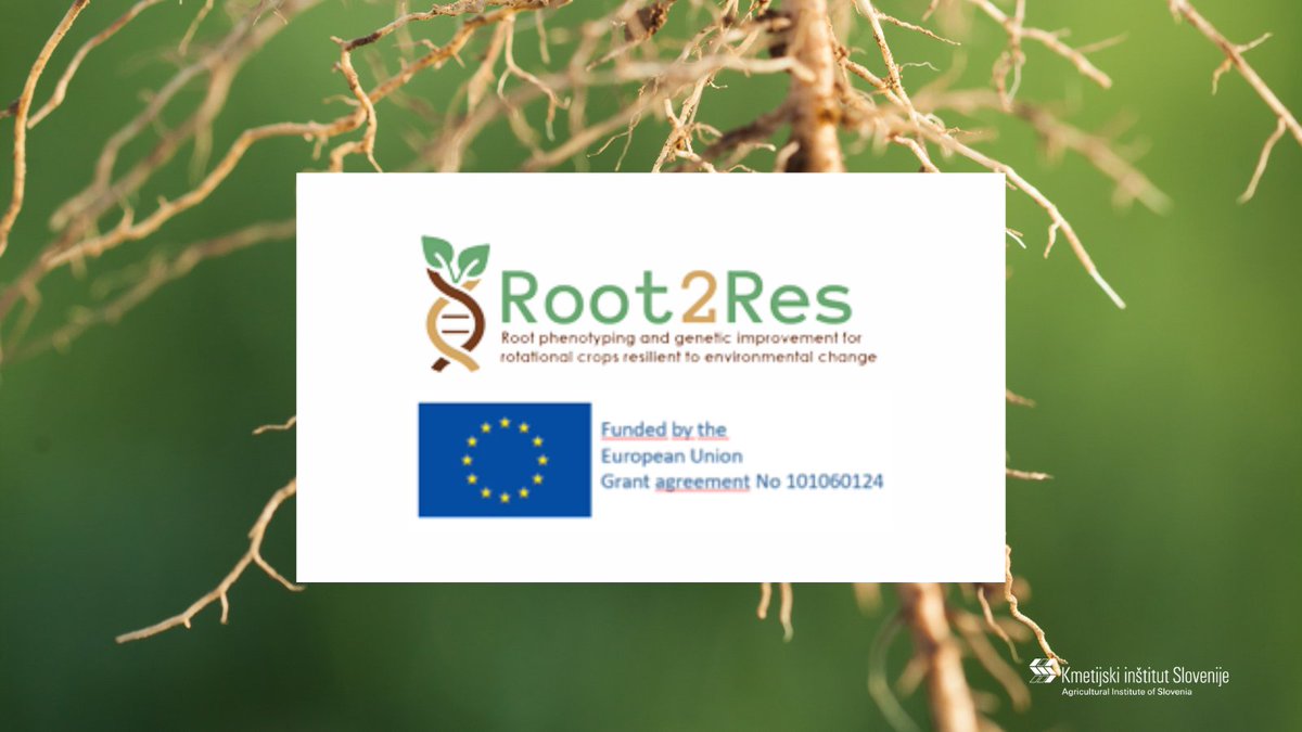 KISinstitut's tweet photo. As part of a multinational consortium, KIS is starting with a new #horizonEU project #Root2Res = Root phenotyping and genetic improvement for rotational crops resilient to environmental change, where we will design future-proof crop systems 💪🌾
More 👉 https://t.co/FArqCSGgof https://t.co/oCmEi529vG