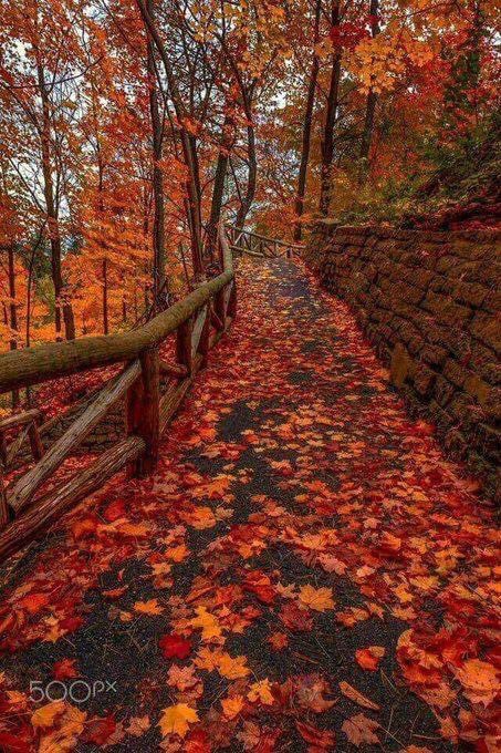 🧡Forever Halloween🖤 (@halloweenlove66) on Twitter photo 