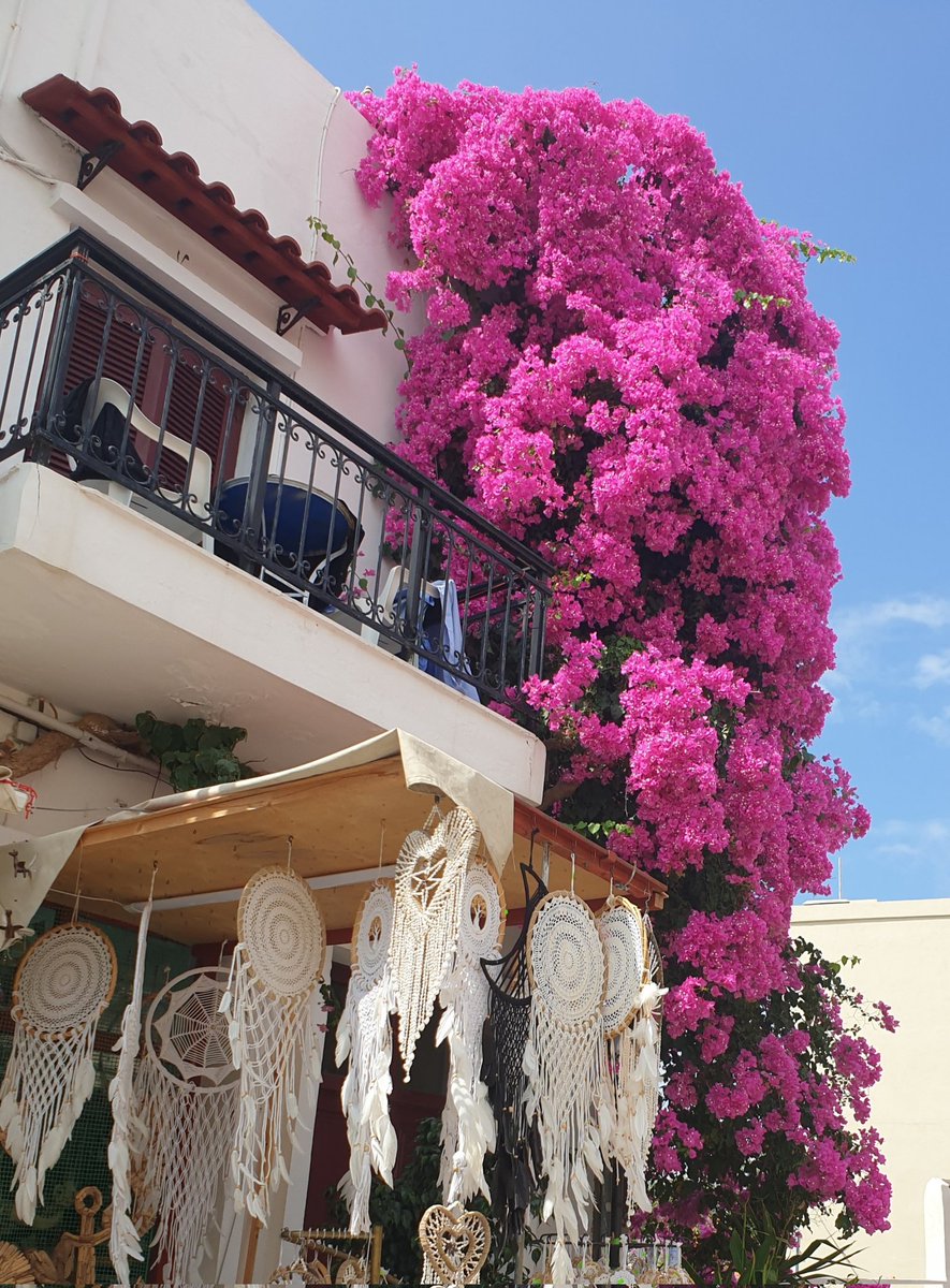 When you know you are in the Med! Back in a couple of weeks, to the new PM and all that entails! #OutOfOffice #Bouganvillea #GreekDreamCatchers