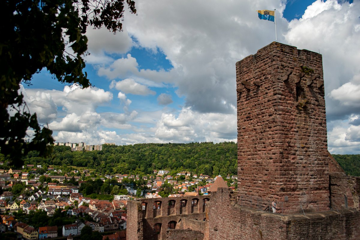 Jans__clicks's tweet photo. Burg Wertheim, near Wertheim am Main.

#Wertheim #hotsummers #wandering https://t.co/iBfSG4nzKR